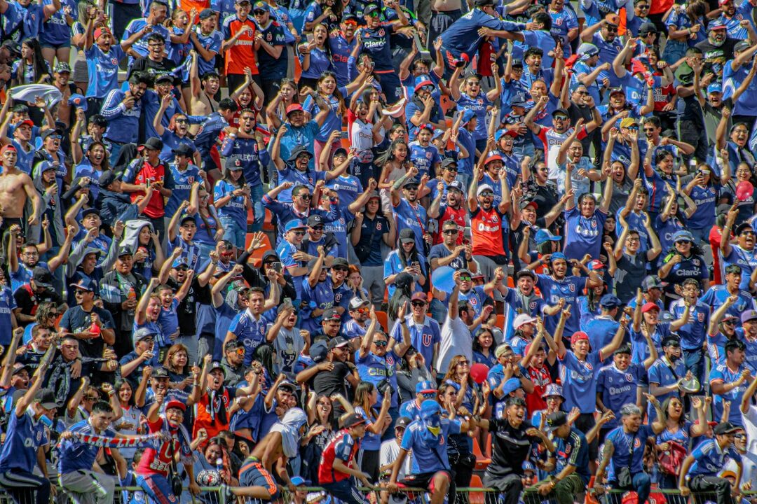 crowd cheering at sports event